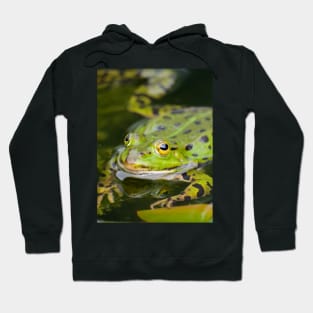 Green European Frog Hoodie